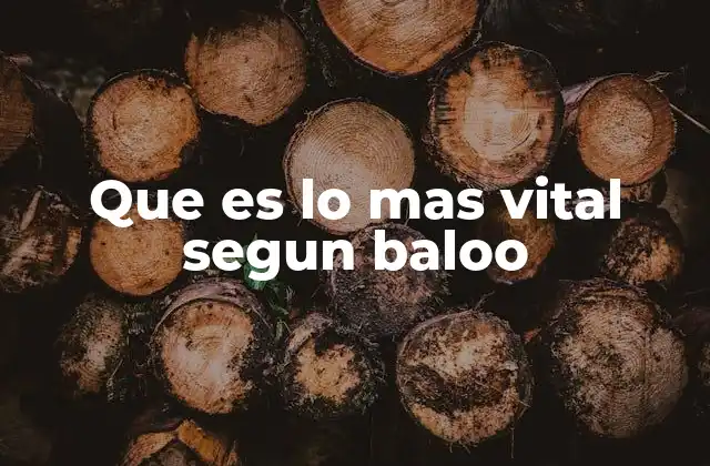 Que es Lo mas Vital Segun Baloo