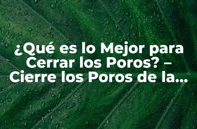¿qué es Lo Mejor para Cerrar los Poros? – Cierre los Poros de la Piel de Forma Natural