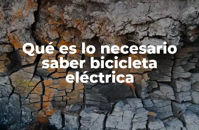 Qué es Lo Necesario Saber Bicicleta Eléctrica