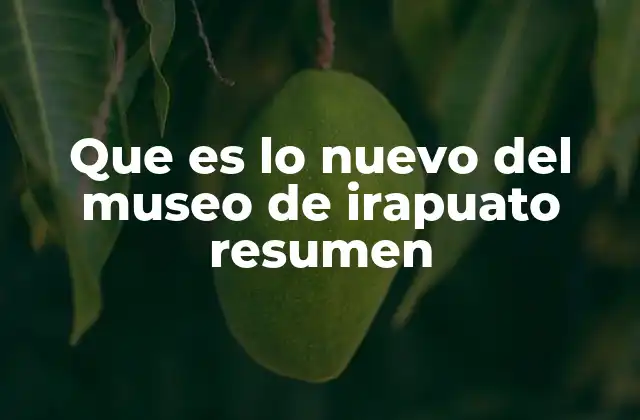 Que es Lo Nuevo Del Museo de Irapuato Resumen