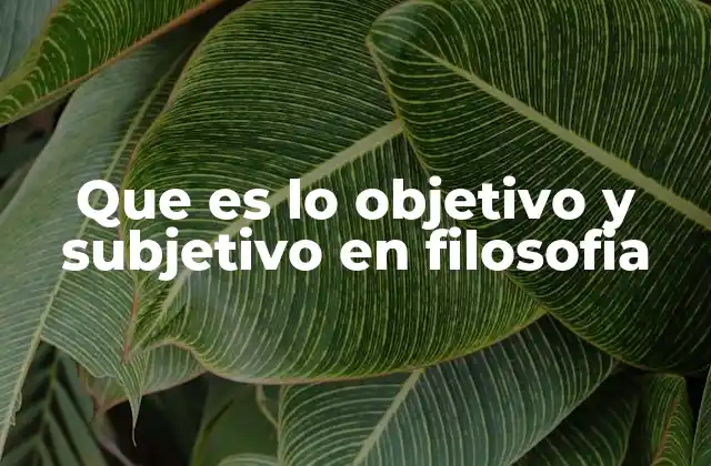 Que es Lo Objetivo y Subjetivo en Filosofia
