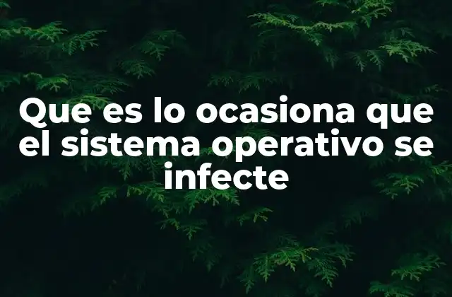 Que es Lo Ocasiona que el Sistema Operativo Se Infecte