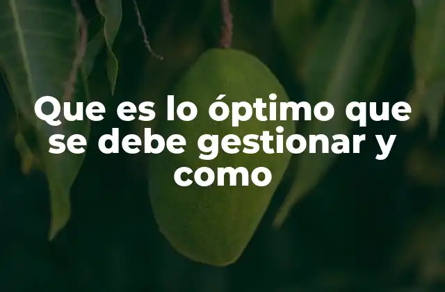 Que es Lo Óptimo que Se Debe Gestionar y como