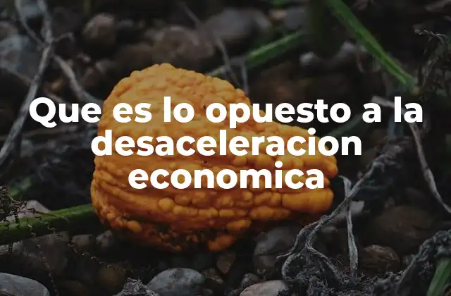 Que es Lo Opuesto a la Desaceleracion Economica