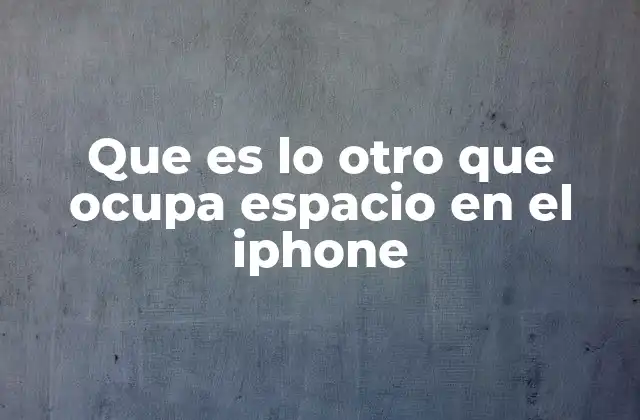 Que es Lo Otro que Ocupa Espacio en el Iphone