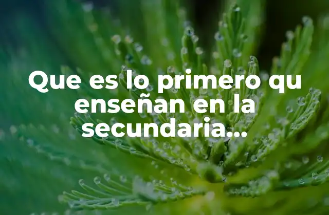 Que es Lo Primero Qu Enseñan en la Secundaria Matematicas