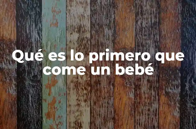 Qué es Lo Primero que Come un Bebé