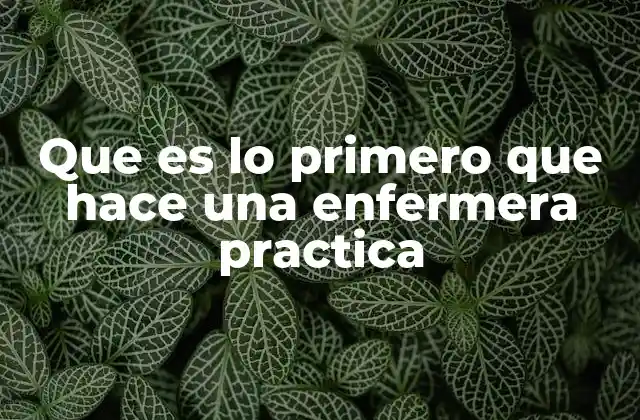 Que es Lo Primero que Hace una Enfermera Practica