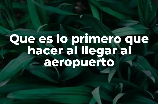 Que es Lo Primero que Hacer Al Llegar Al Aeropuerto