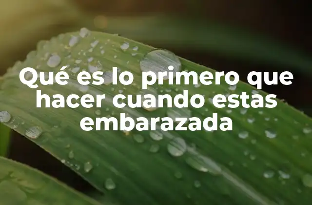 Qué es Lo Primero que Hacer Cuando Estas Embarazada