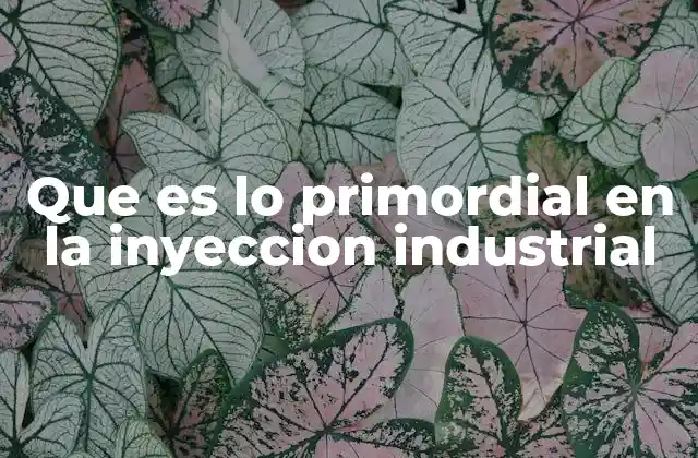 Que es Lo Primordial en la Inyeccion Industrial
