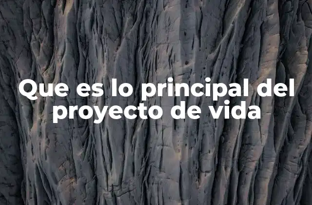 Que es Lo Principal Del Proyecto de Vida