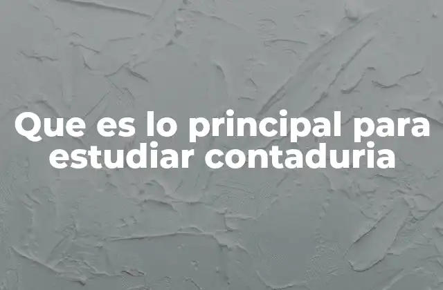 Que es Lo Principal para Estudiar Contaduria
