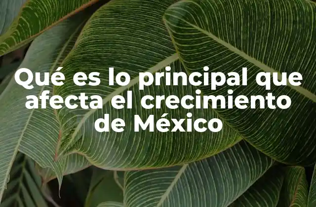 Qué es Lo Principal que Afecta el Crecimiento de México