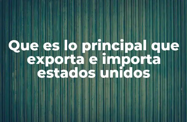 Que es Lo Principal que Exporta e Importa Estados Unidos