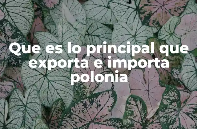 Que es Lo Principal que Exporta e Importa Polonia