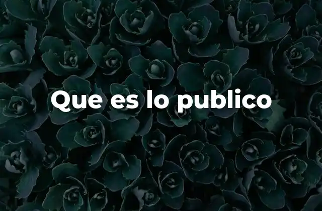 Que es Lo Publico 2 La importancia de lo colectivo en la sociedad