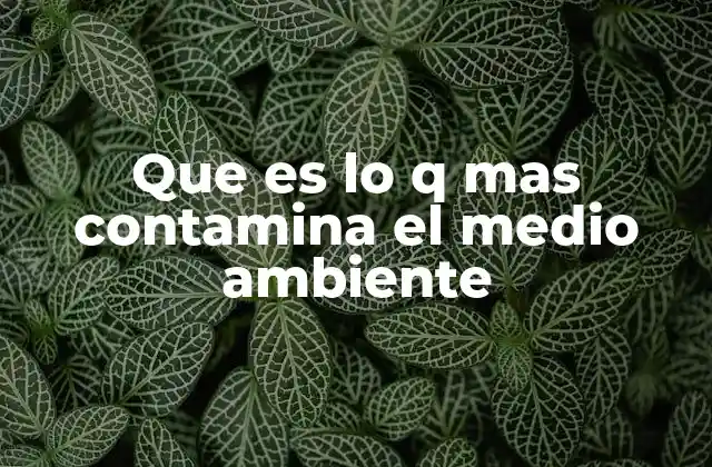 Que es Lo Q mas Contamina el Medio Ambiente