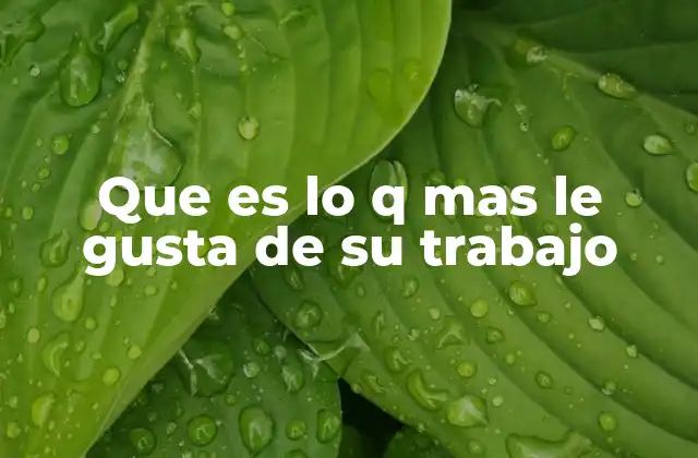 Que es Lo Q mas Le Gusta de Su Trabajo