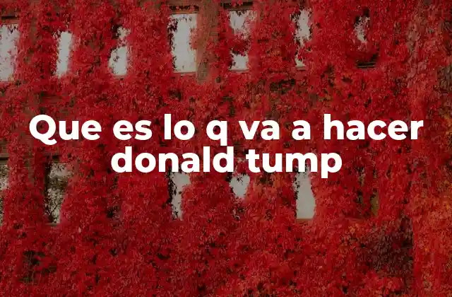 Que es Lo Q Va a Hacer Donald Tump