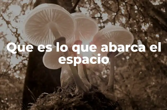 La dimensión del universo y sus componentes