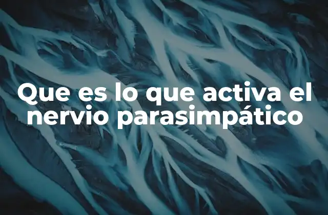 Que es Lo que Activa el Nervio Parasimpático