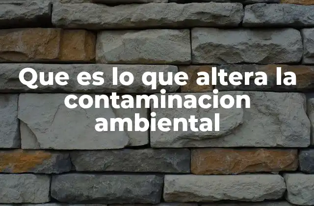 Que es Lo que Altera la Contaminacion Ambiental