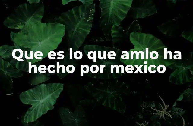 Que es Lo que Amlo Ha Hecho por Mexico