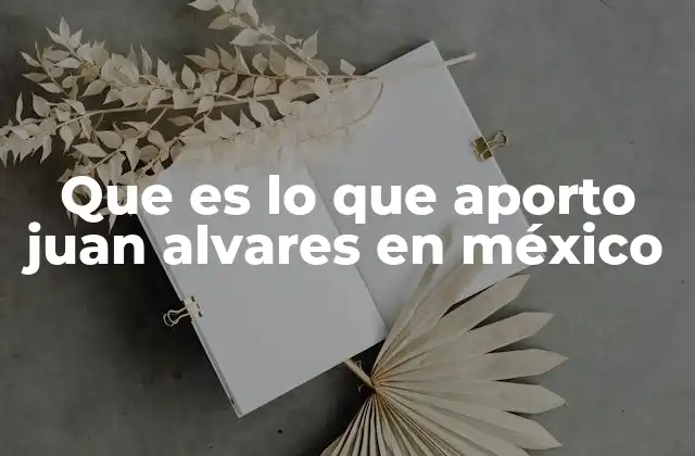 Que es Lo que Aporto Juan Alvares en México