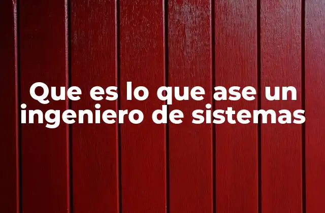 Que es Lo que Ase un Ingeniero de Sistemas 2 El papel del ingeniero de sistemas en el entorno empresarial