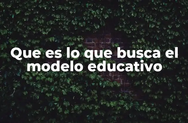 Que es Lo que Busca el Modelo Educativo