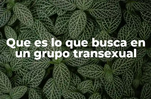 Que es Lo que Busca en un Grupo Transexual