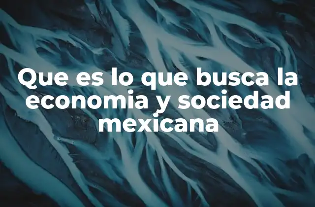 Que es Lo que Busca la Economia y Sociedad Mexicana