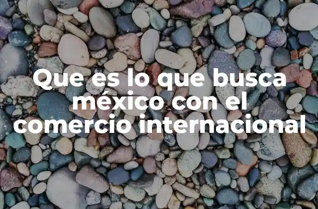 Que es Lo que Busca México con el Comercio Internacional