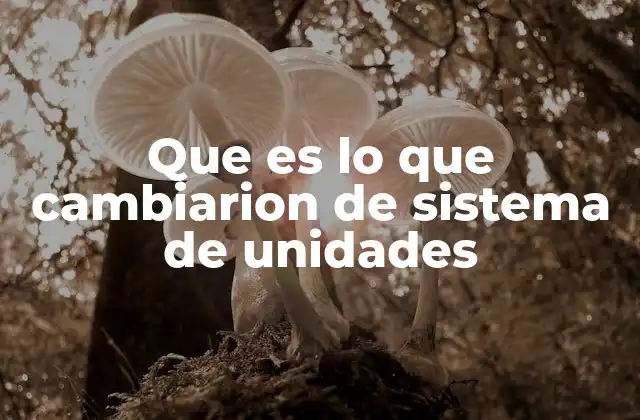 Que es Lo que Cambiarion de Sistema de Unidades