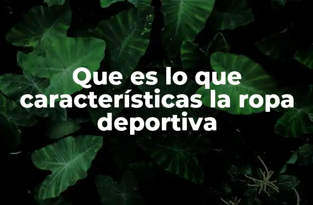 Que es Lo que Características la Ropa Deportiva