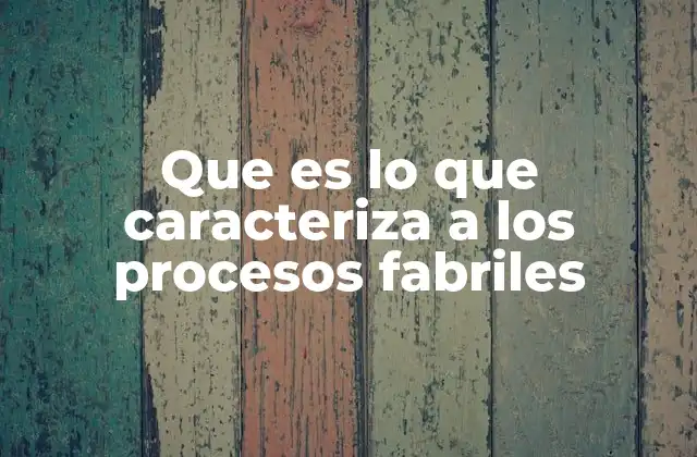 Que es Lo que Caracteriza a los Procesos Fabriles