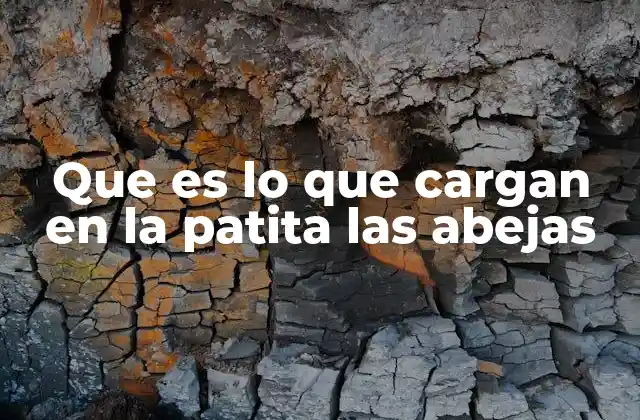 Que es Lo que Cargan en la Patita las Abejas