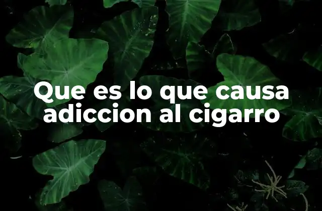Que es Lo que Causa Adiccion Al Cigarro