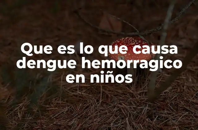 Que es Lo que Causa Dengue Hemorragico en Niños