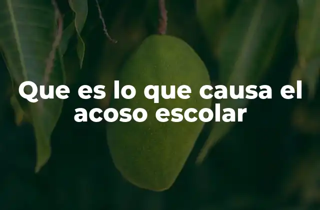 Que es Lo que Causa el Acoso Escolar