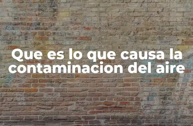 Las fuentes principales de emisión de contaminantes en el aire