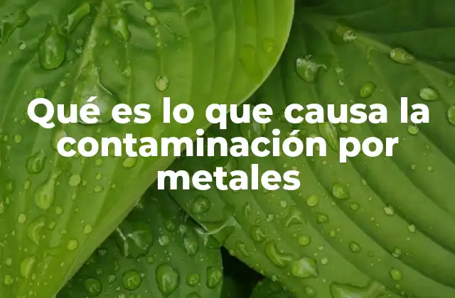 Qué es Lo que Causa la Contaminación por Metales