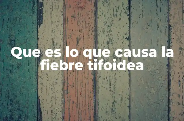 Que es Lo que Causa la Fiebre Tifoidea