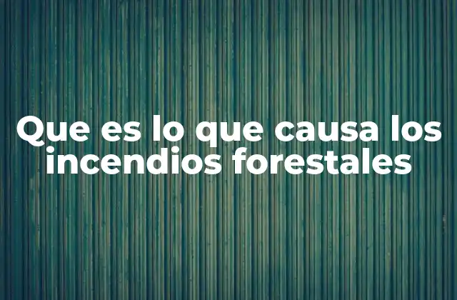 Que es Lo que Causa los Incendios Forestales