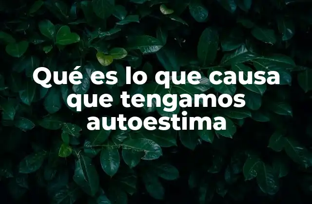 Qué es Lo que Causa que Tengamos Autoestima
