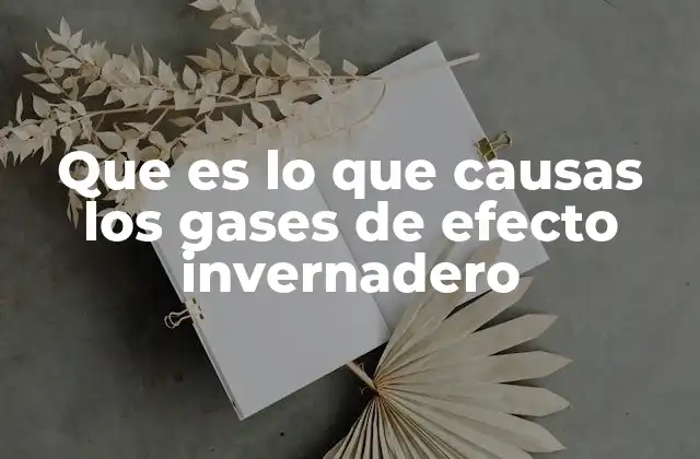 Que es Lo que Causas los Gases de Efecto Invernadero