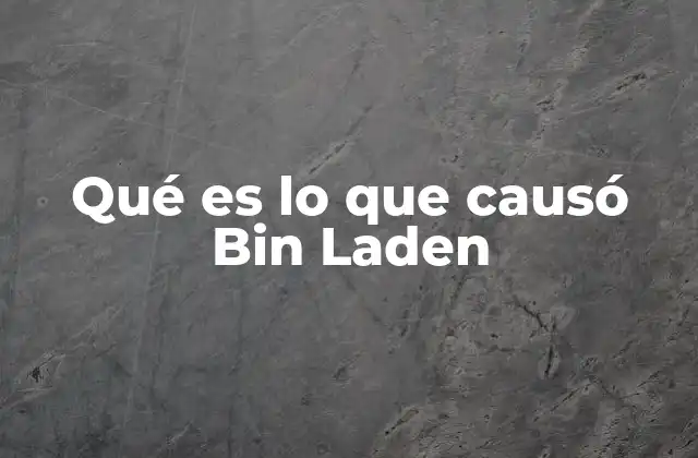 Qué es Lo que Causó Bin Laden 2 Los antecedentes históricos que influyeron en la trayectoria de Bin Laden