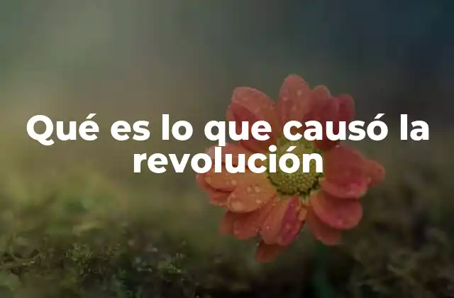 Qué es Lo que Causó la Revolución