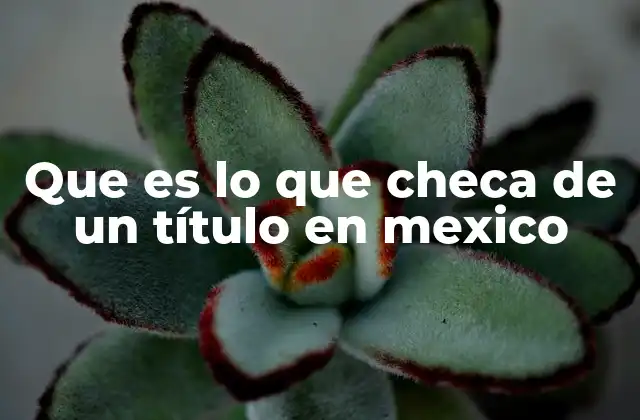 Que es Lo que Checa de un Título en Mexico